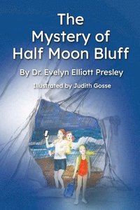 bokomslag Mystery of Half Moon Bluff
