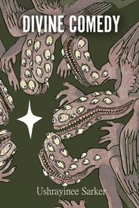bokomslag Divine Comedy