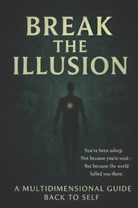 bokomslag Break The Illusion