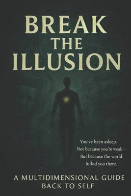 bokomslag Break The Illusion