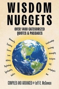 bokomslag Wisdom Nuggets
