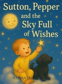 bokomslag Sutton, Pepper and the Sky Full of Wishes
