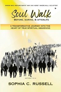 bokomslag Soul Walk