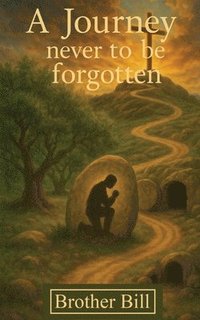 bokomslag Journey Never to Be Forgotten