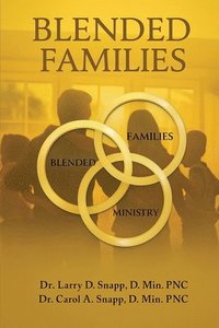 bokomslag Blended Families