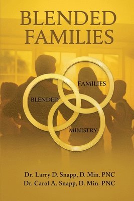 bokomslag Blended Families