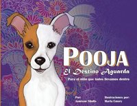 bokomslag Pooja El Destino Aguarda