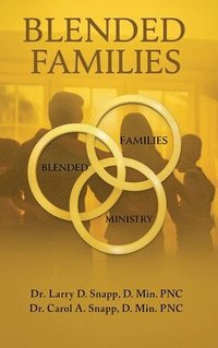 bokomslag Blended Families
