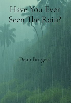 bokomslag Have You Ever Seen The Rain?