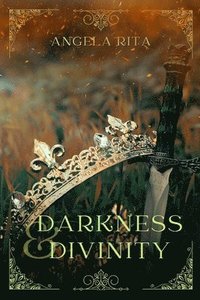 bokomslag Darkness and Divinity