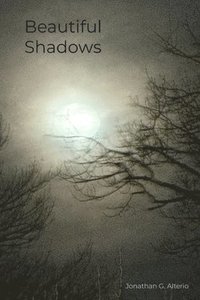 bokomslag Beautiful Shadows