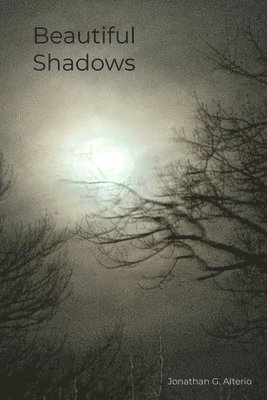 bokomslag Beautiful Shadows