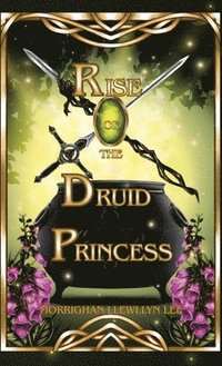 bokomslag Rise of the Druid Princess