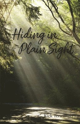 Hiding in Plain Sight