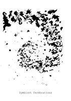 James D Mikulec - Symbiont Cerebrations, Häftad