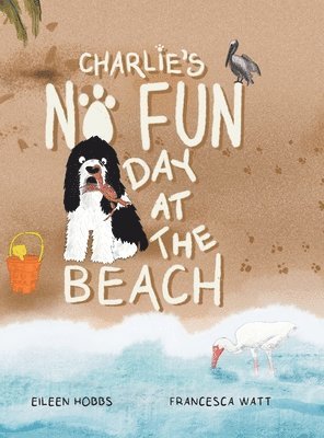 Eileen Hobbs - Charlie's No Fun Day at the Beach, Inbunden