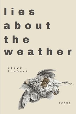 Steve Lambert - lies about the weather, Häftad