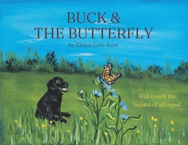 bokomslag Buck & the Butterfly