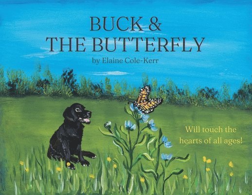 Buck & the Butterfly 1