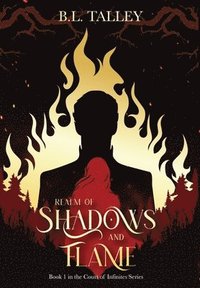 bokomslag Realm of Shadows and Flame