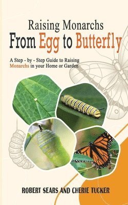 Robert D Sears, Cherie Tucker, Robert D. Sears - Raising Monarchs from Egg To Butterfly, Häftad
