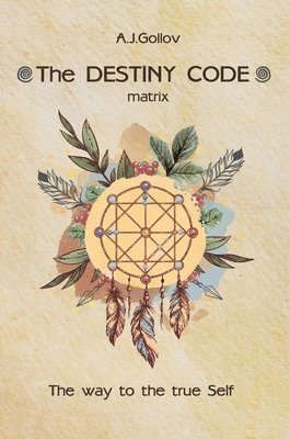 bokomslag Destiny Code