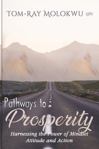 bokomslag Pathways to Prosperity