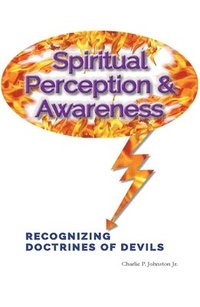 bokomslag Spiritual Perception & Awareness