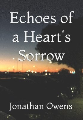 Echoes of a Heart's Sorrow 1