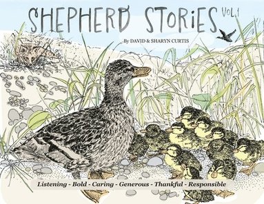 David Curtis - Shepherd Stories Volume 1, Häftad