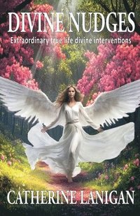bokomslag Divine Nudges
