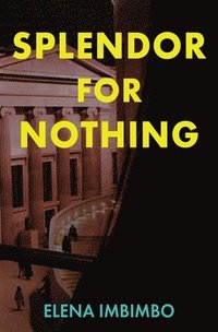 bokomslag Splendor for Nothing