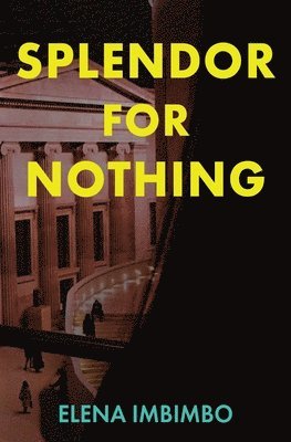 bokomslag Splendor for Nothing