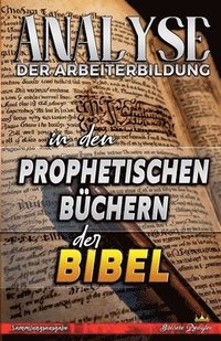 bokomslag Analyse der Arbeiterbildung in den Prophetischen Bchern der Bibel