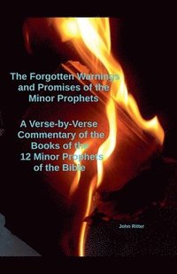 bokomslag The Forgotten Warnings and Promises of the Minor Prophets A Verse-by-Verse Commentary of the Books of the 12 Minor Prophets of the Bible