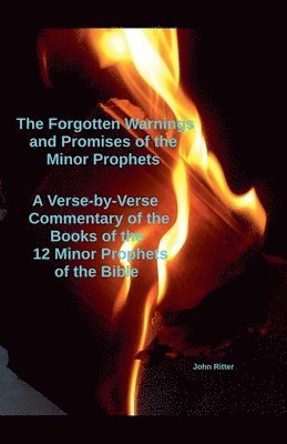 The Forgotten Warnings and Promises of the Minor Prophets A Verse-by-Verse Commentary of the Books of the 12 Minor Prophets of the Bible 1