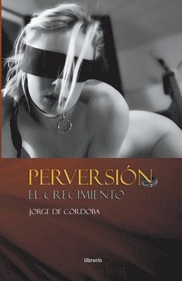 bokomslag Perversión