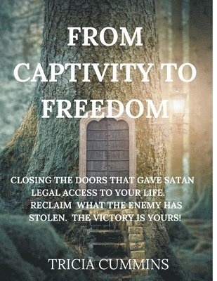 From Captivity to Freedom 1