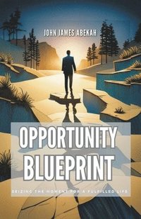 bokomslag Opportunity Blueprint