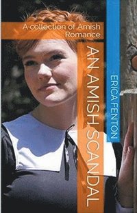 bokomslag Amish Scandal
