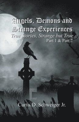 bokomslag "Angels Demons And Strange Experiences" Part 1, 2,