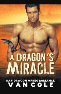 bokomslag A Dragon's Miracle