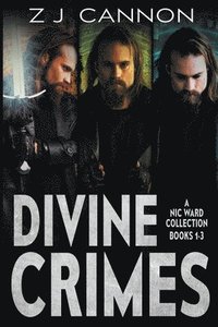 bokomslag Divine Crimes