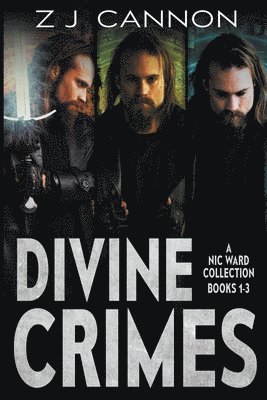 bokomslag Divine Crimes