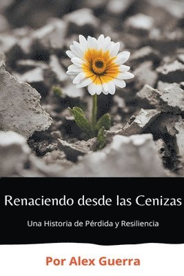 Renaciendo desde las Cenizas 1