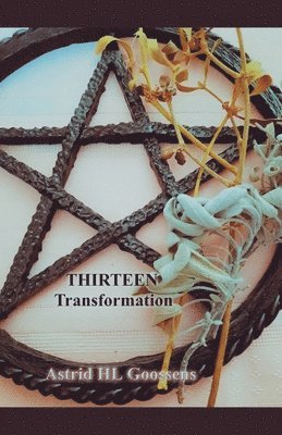 Thirteen - Transformation 1