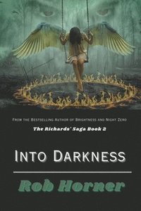 bokomslag Into Darkness
