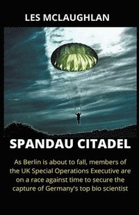 bokomslag Spandau Citadel