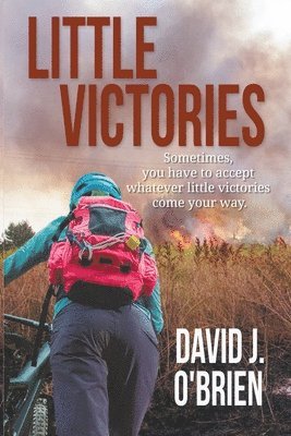 David J O'Brien - Little Victories, Häftad