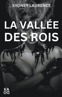 bokomslag vallée des rois